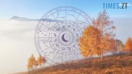 Житомирщина новини