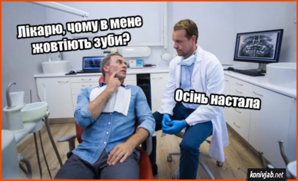 Житомирщина новини