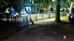 житомир новини