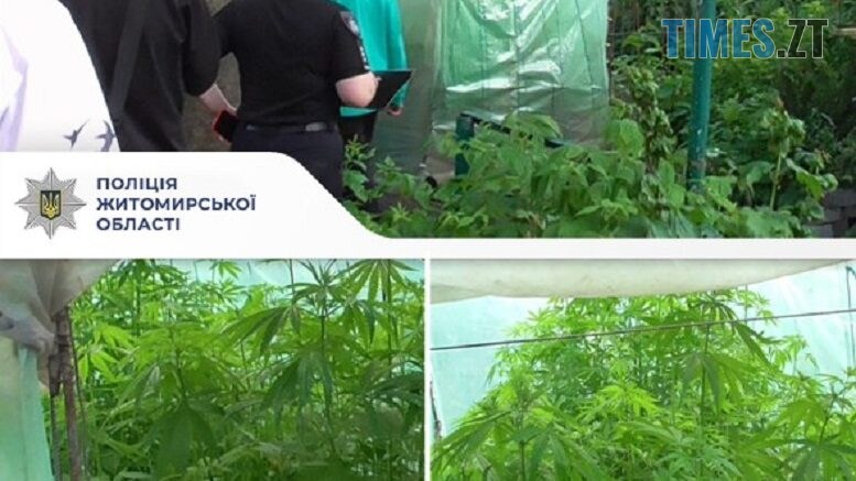 Житомирщина новини