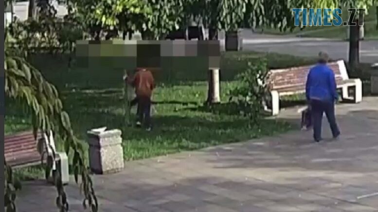 житомир новини
