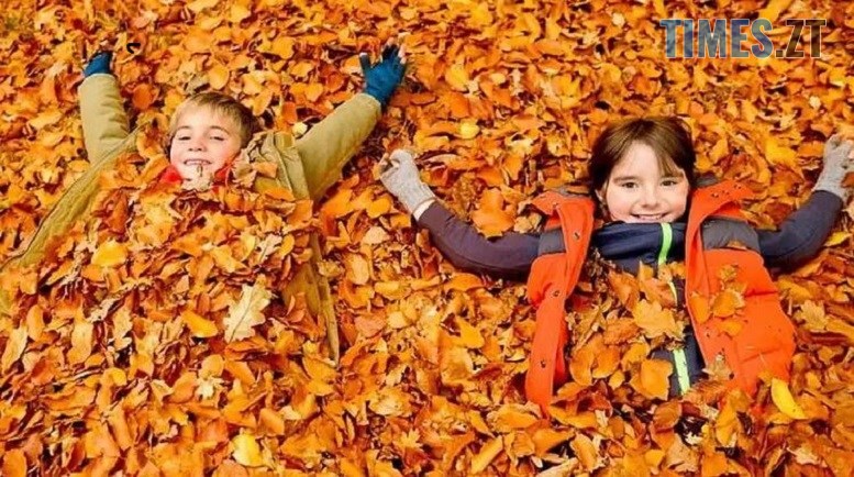 житомир новини