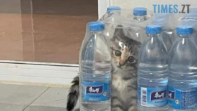 житомир новини
