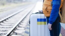 житомир новини
