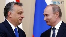 житомир новини