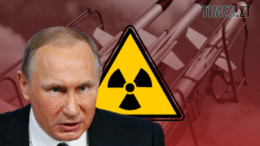 житомир новини