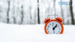 житомир новини