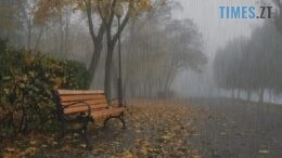 житомир новини