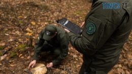 житомир новини