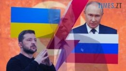 житомир новини