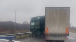 житомир новини