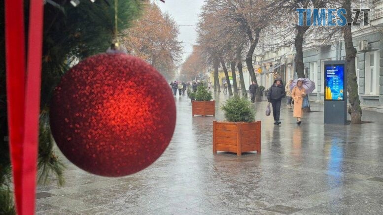 житомир новини