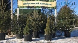 житомир новини