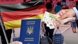 житомир новини