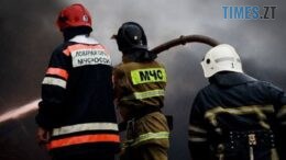 житомир новини