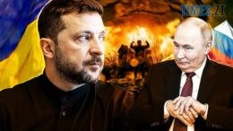 житомир новини