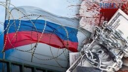 житомир новини