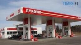 житомир новини
