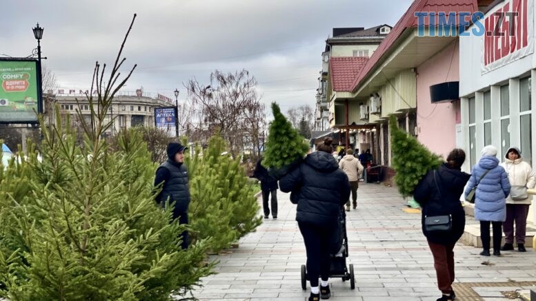 житомир новини