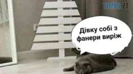 житомир новини