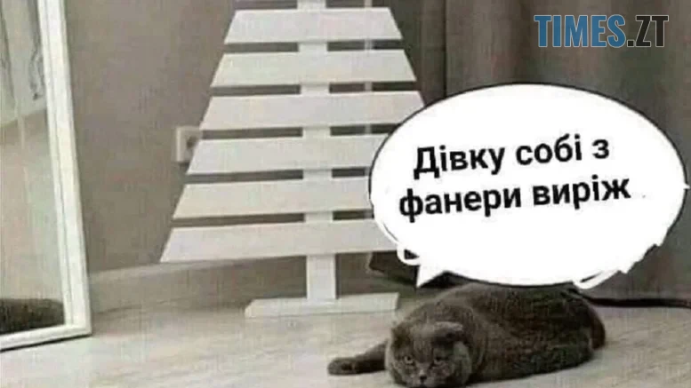 житомир новини
