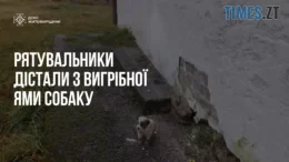 житомир новини