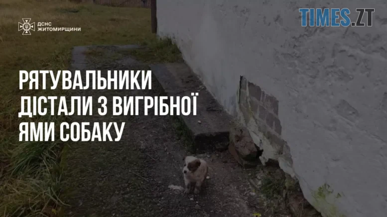 житомир новини