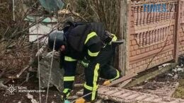 житомир новини