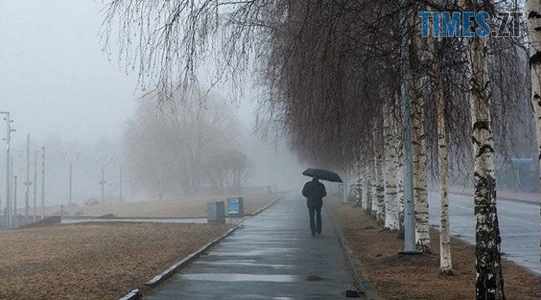 житомир новини