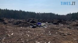 Півтораметрові гори відходів: „Столичний лісовий офіс“ звинувачують у порушенні екозаконодавства