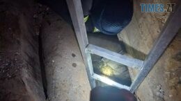 У Бердичеві рятувальники визволили собаку з 4-метрової пастки