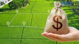 На Житомирщині держреєстратор незаконно передав у приватну власність землю вартістю 1,8 млн грн