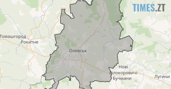 У Житомирі презентують аудит безпеки Олевської громади