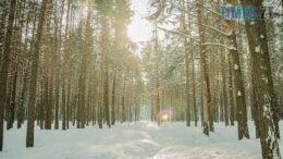 Останній подих зими: після фінальних -22°C на Житомирщину прийде весняне тепло