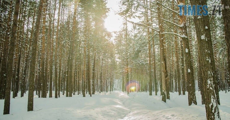 Останній подих зими: після фінальних -22°C на Житомирщину прийде весняне тепло