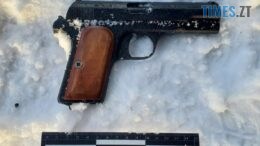 У Коростені поліція вилучила у перехожого пістолет та набої