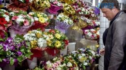 Весна у Житомирі: де з 1 березня можна буде придбати живі квіти