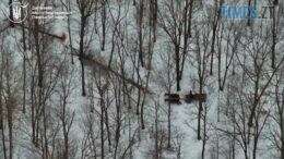 Око в небі: на Житомирщині дрон допоміг спіймати «чорного лісоруба» на гарячому