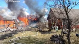 Полум’я охопило двір: рятувальники не дали згоріти будинку на Житомирщині