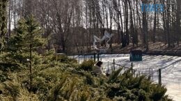 Сонячний весняний день в Ботанічному саду імені Героїв-десантників у Житомирі