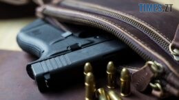 МВС України запускає кампанію з декларування зброї та боєприпасів