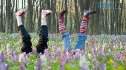 Дев'ять днів драйву та майстер-класів: житомирські школярі йдуть на весняні канікули