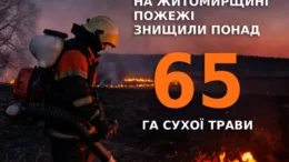 Понад 65 гектарів згарища: на Житомирщині масово палає сухостій