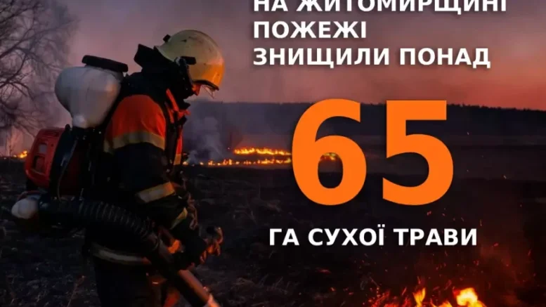 Понад 65 гектарів згарища: на Житомирщині масово палає сухостій