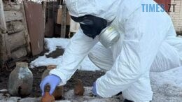 У Житомирі на приватному подвір’ї виявили 15 кілограмів ртуті