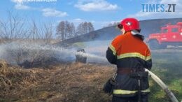 Вогняний терор проти природи: за добу на Житомирщині вигоріло 16 гектарів території