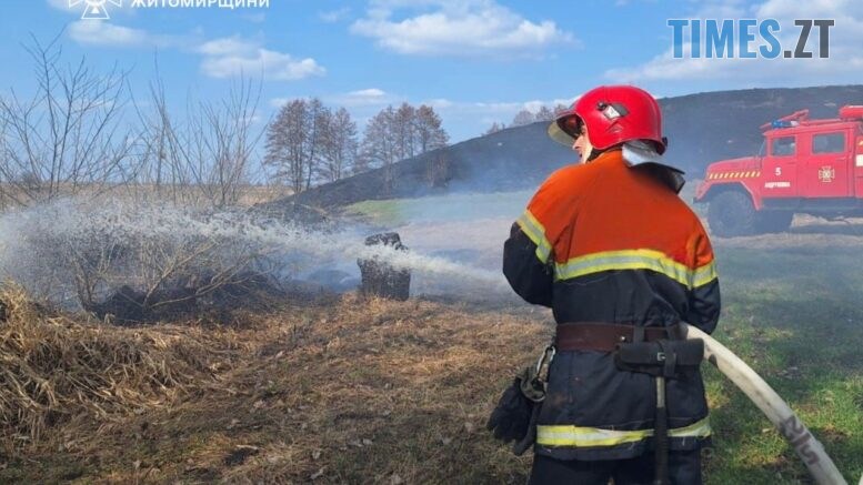 Вогняний терор проти природи: за добу на Житомирщині вигоріло 16 гектарів території