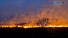 Вогняне пекло в екосистемах: за добу на Житомирщині вигоріло 22 га сухостою