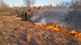 Горіння сухостою: на Житомирщині вогонь ледь не знищив житлові будинки