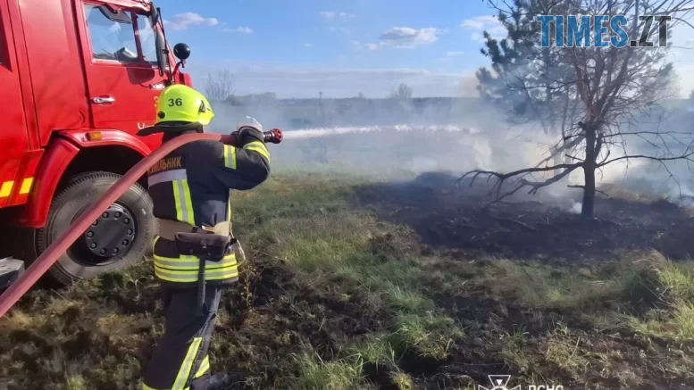 На Житомирщині за добу вигоріло понад 6 гектарів сухостою: вогонь ледь не перекинувся на ліс